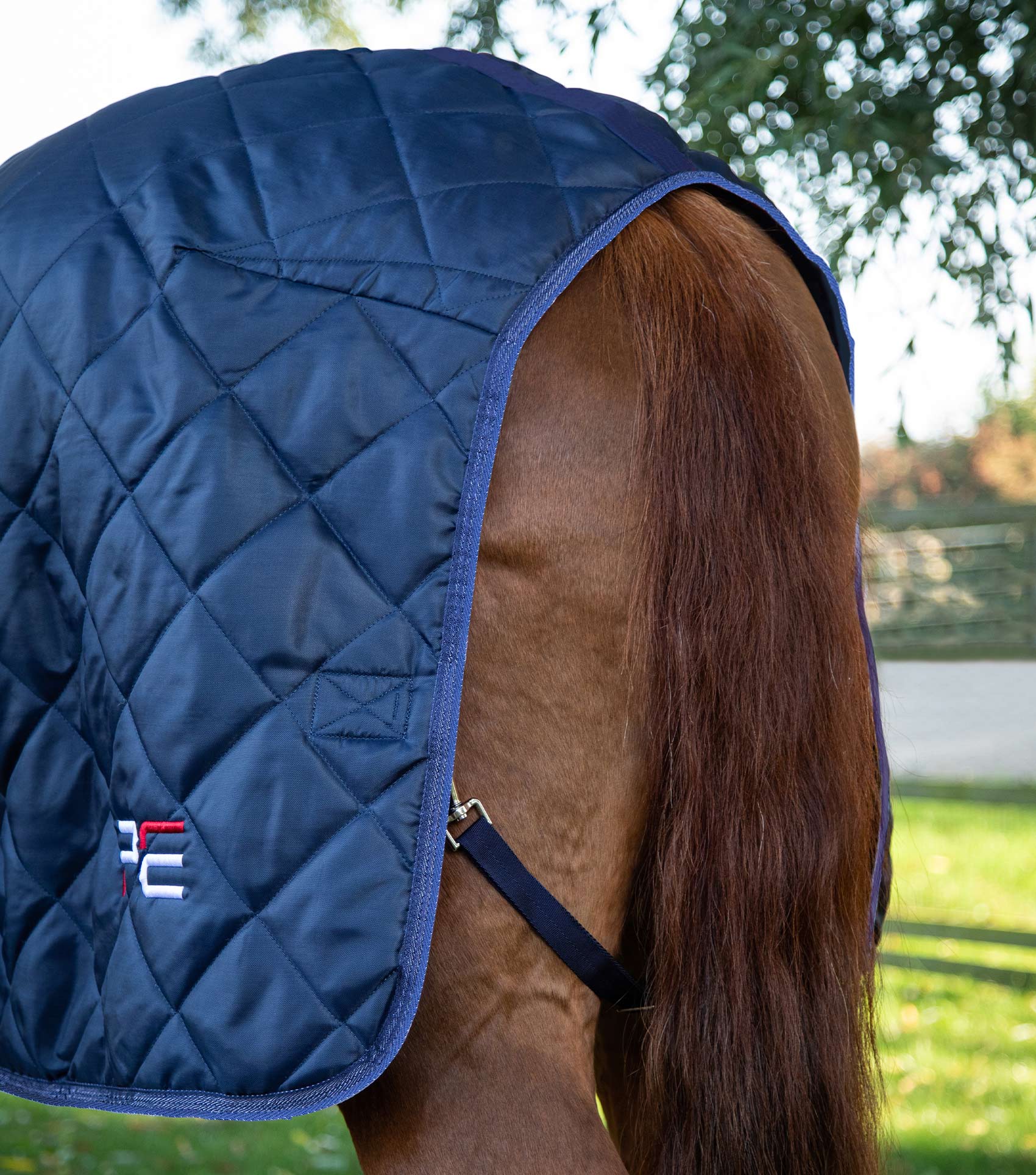 Premier Equine Tuscan Navy Stable Rug 200g on Horse - Quilted Blue Horse Rug for Warmth & Comfort