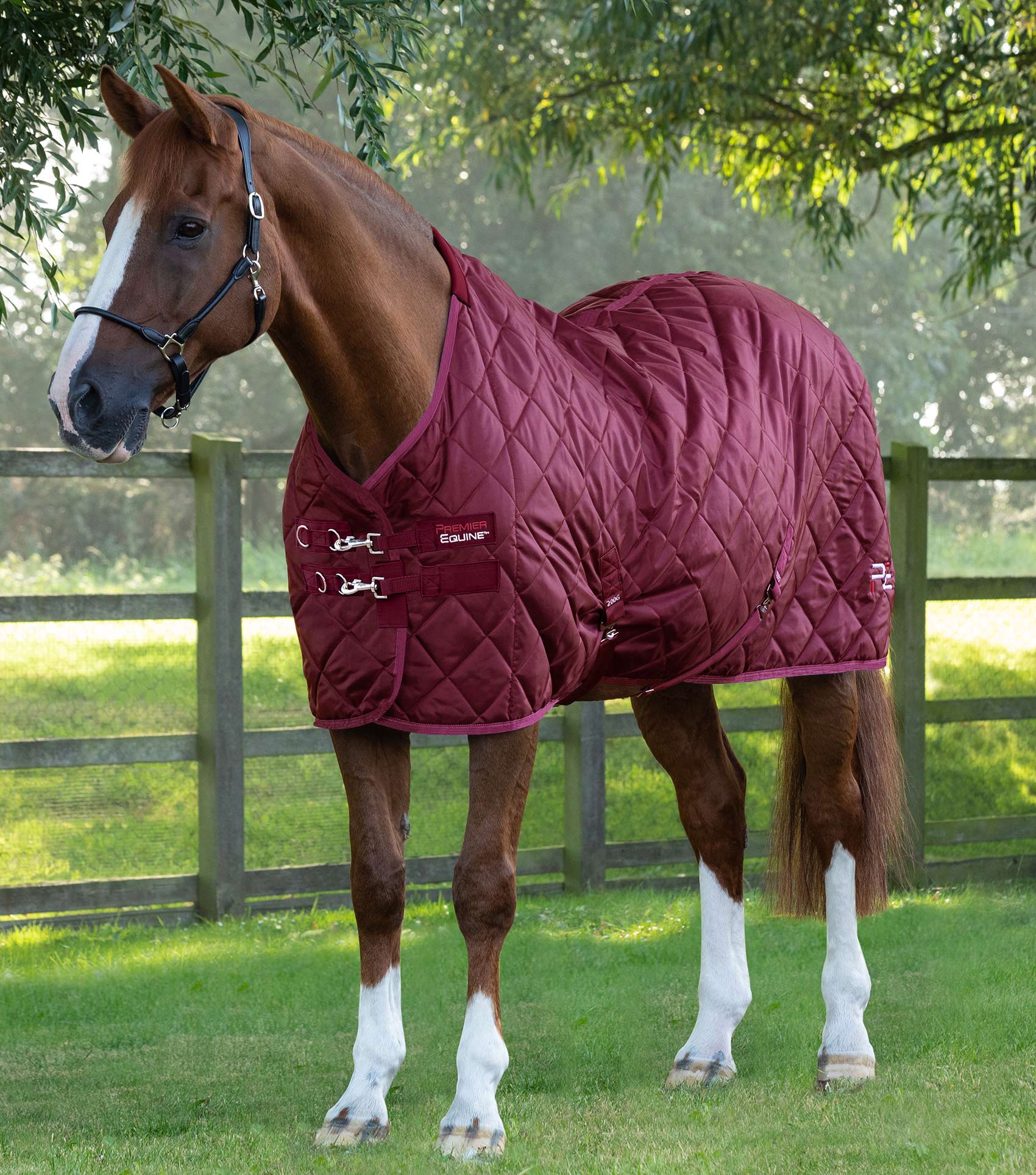 Horse Wearing Burgundy PREMIER EQUINE Tuscan Stable Rug 200G. Horse Rug for Cold Weather Protection and Comfort.