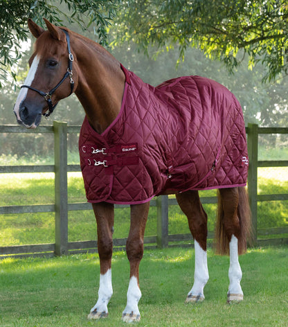 Horse Wearing Burgundy PREMIER EQUINE Tuscan Stable Rug 200G. Horse Rug for Cold Weather Protection and Comfort.