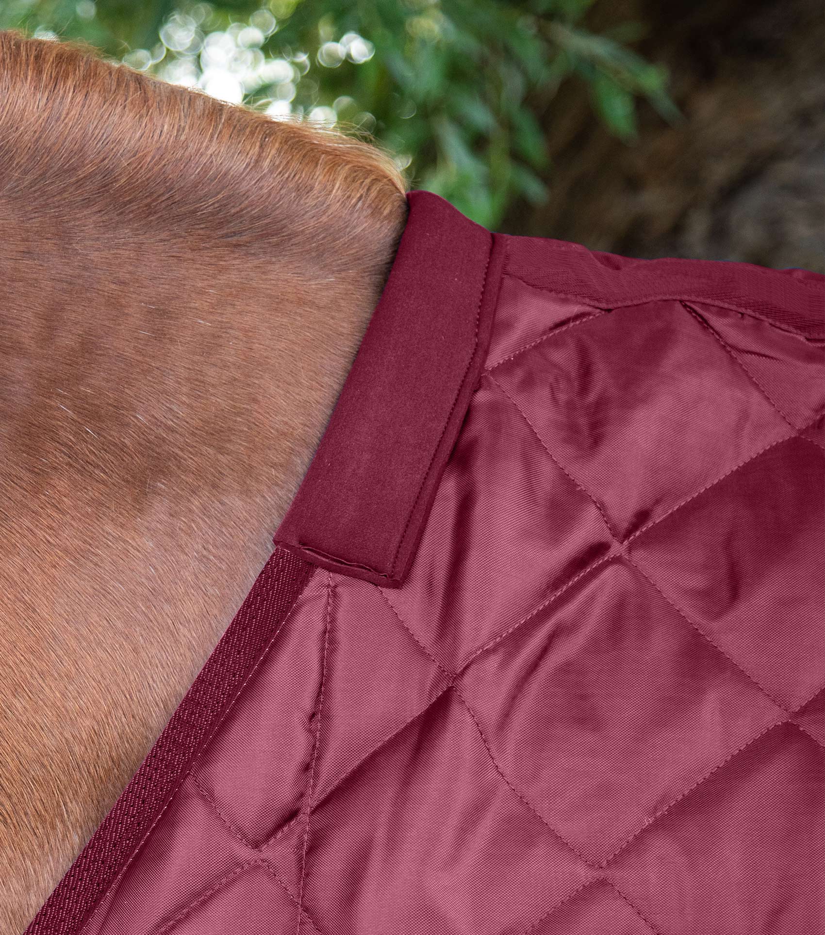 Premier Equine Tuscan Stable Rug 200g Burgundy: Horse Blanket for Warmth & Comfort