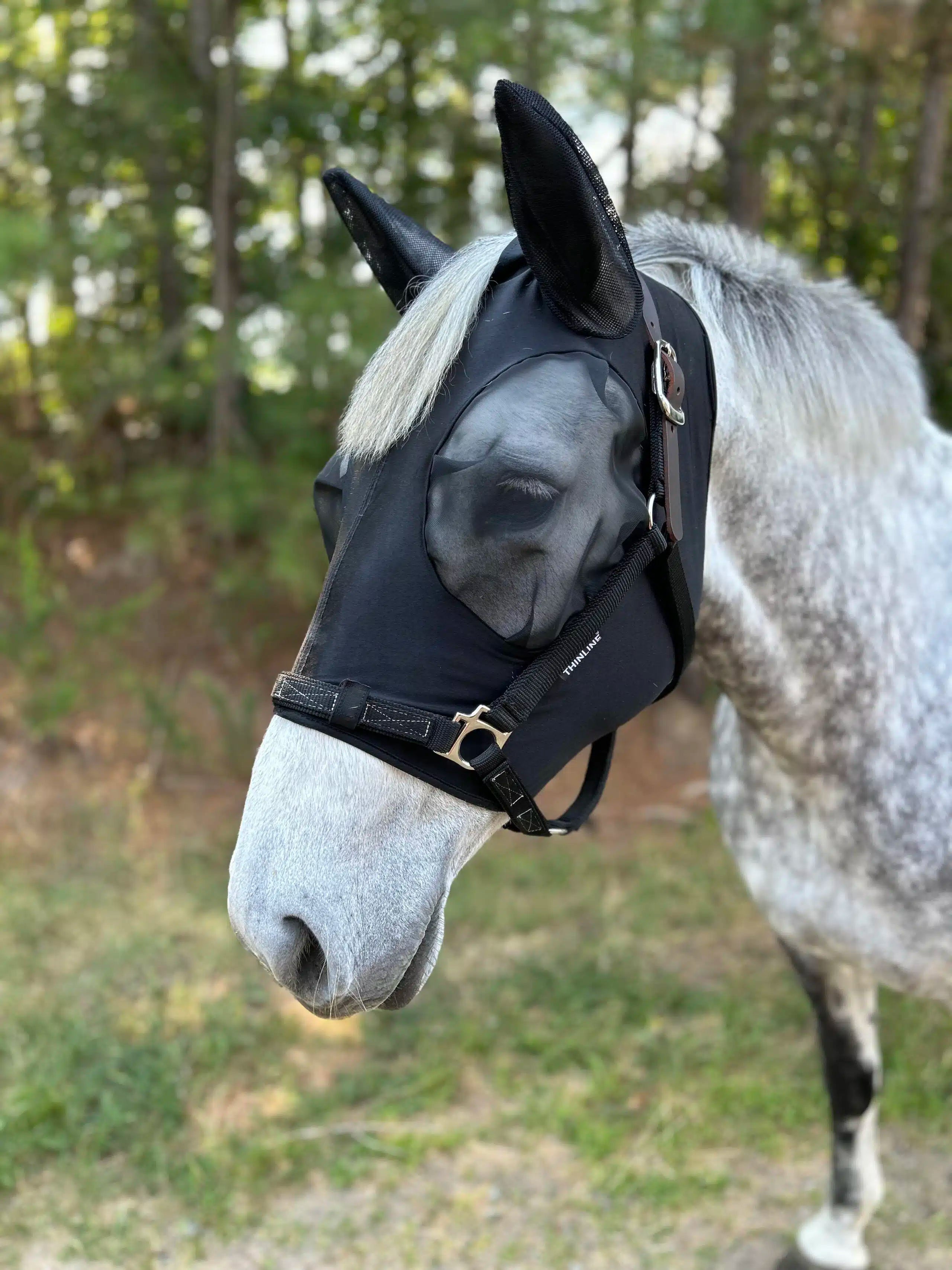 Horse wearing ThinLine SoftFit Lycra Fly Mask. Comfortable Fly Control Protection for Horses.