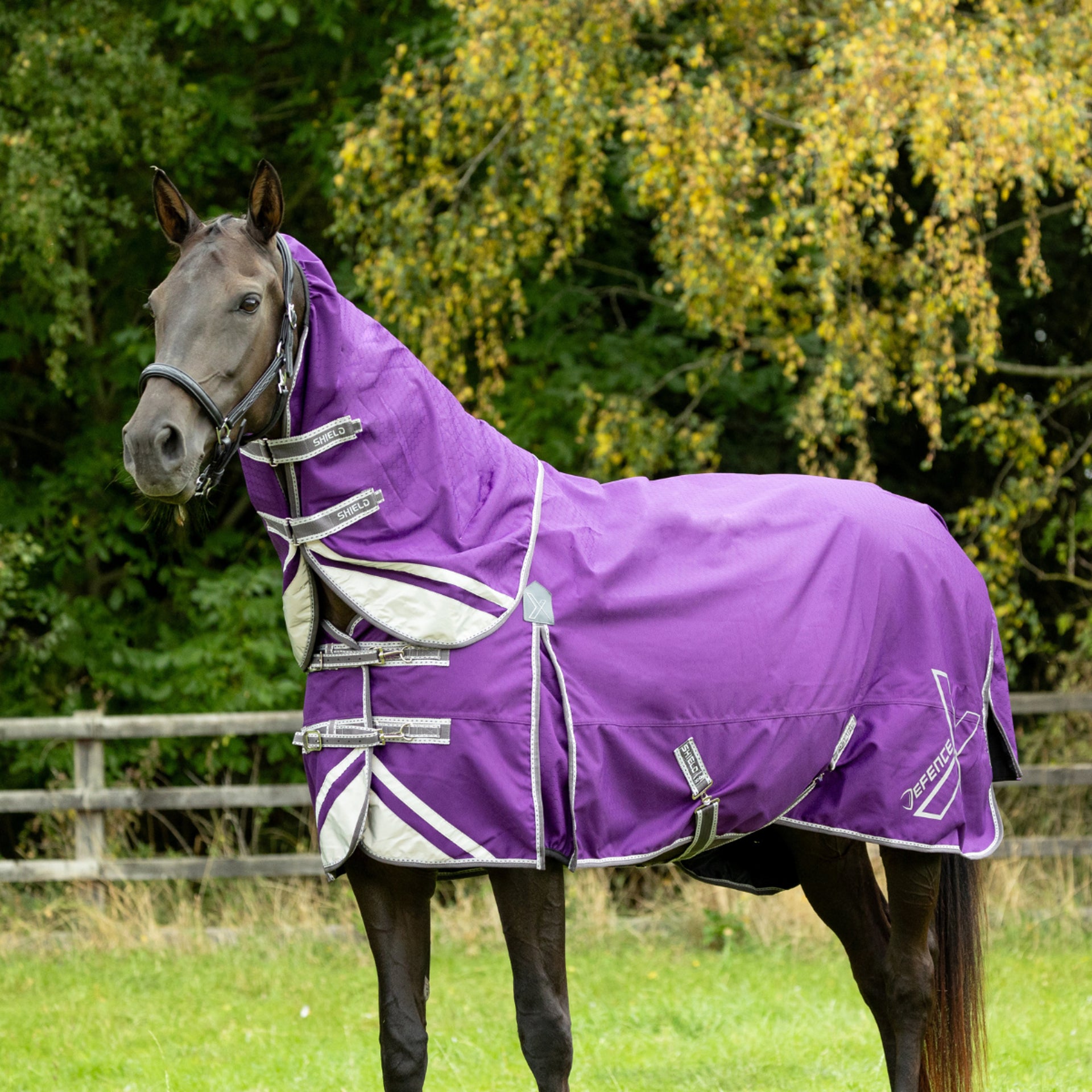 DefenceX Shield 300g Horse Turnout Rug with Detachable Neck - Waterproof Heavyweight Protection for Horses