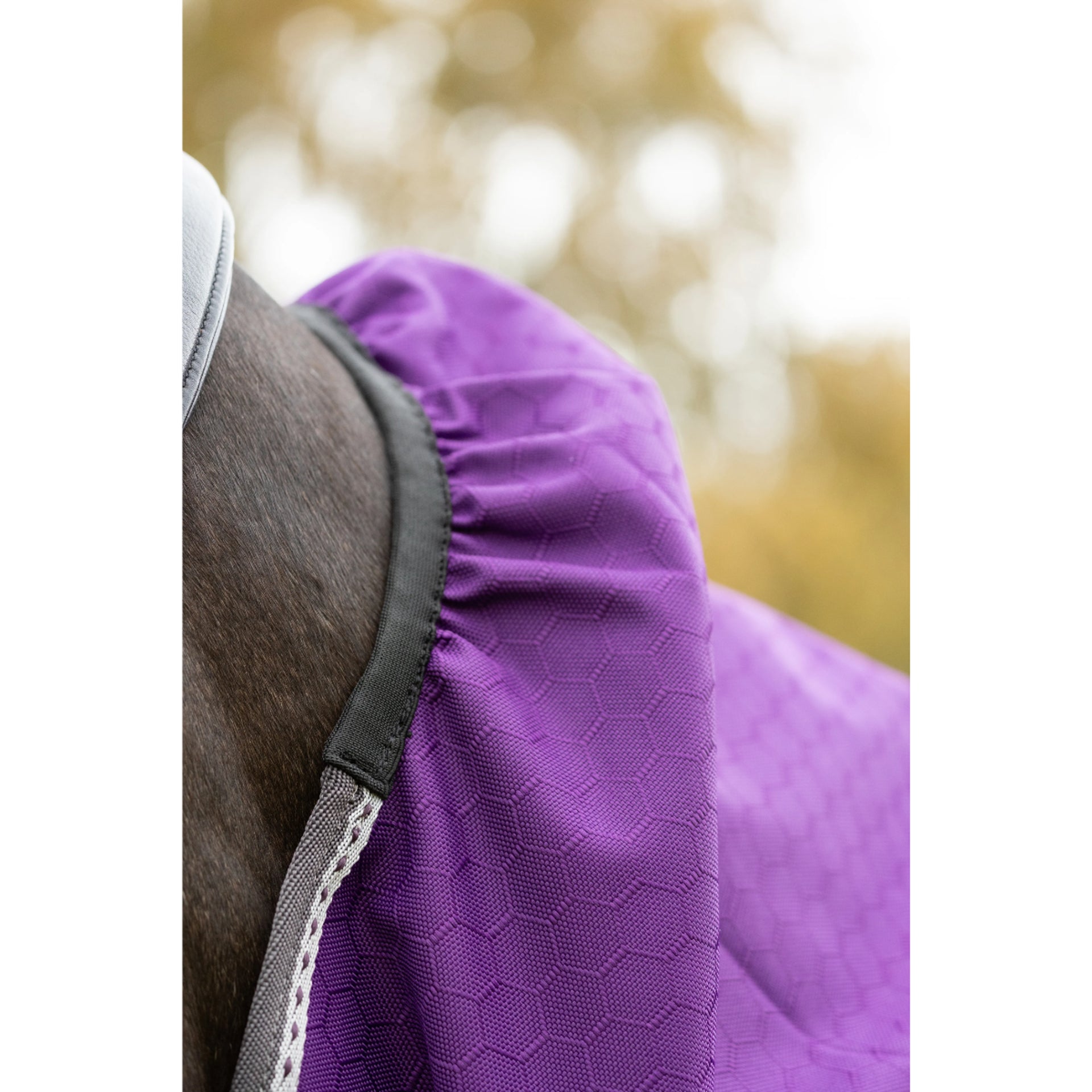 Purple Waterproof Horse Turnout Rug with Detachable Neck | Equiflair