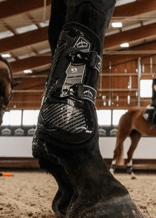 Veredus Carbon Gel Absolute Front Tendon Boots Black | Equiflair