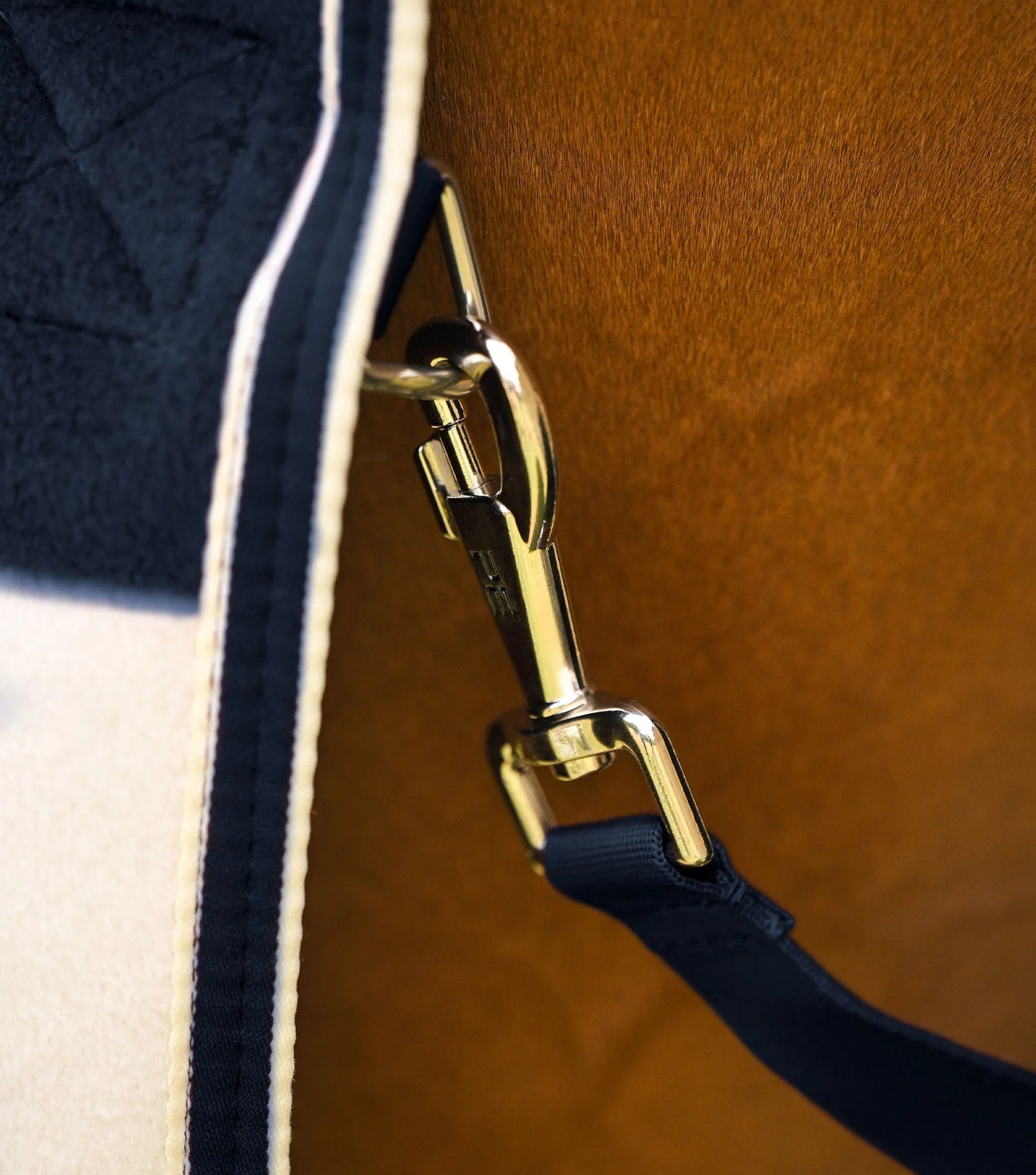PREMIER VELLUS HORSE FLEECE RUG NAVY/WHITE detail: Close-up of fastening.