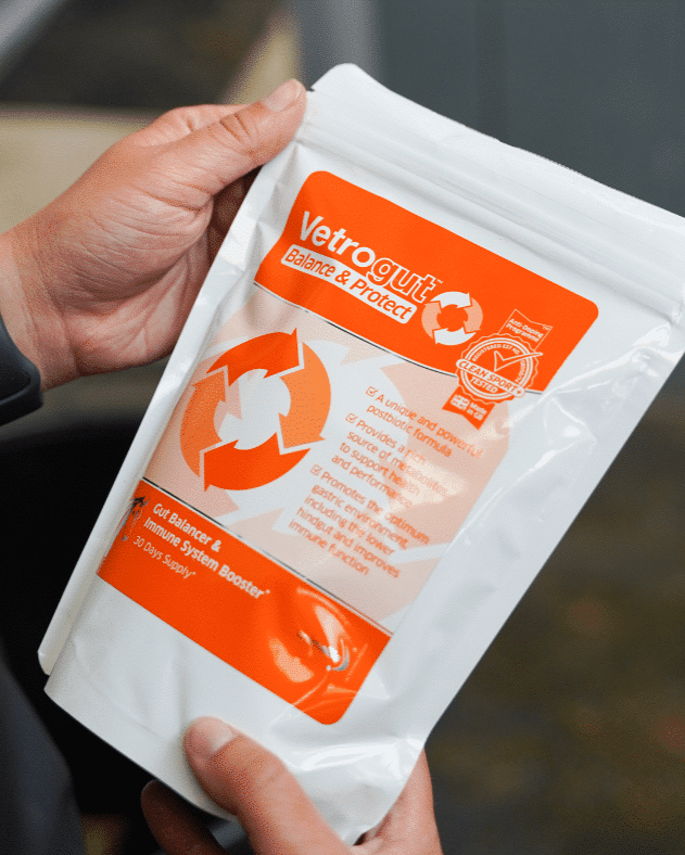 Vetrogut equine gut health supplement. Postbiotic for horse immune system boost. Balance & Protect - 30 days supply.