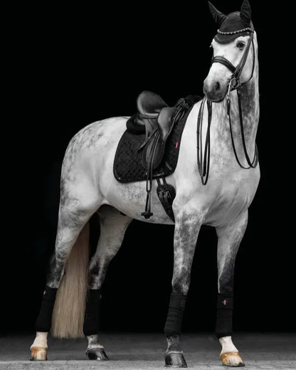 LeMieux Crystal Suede Dressage Square Black