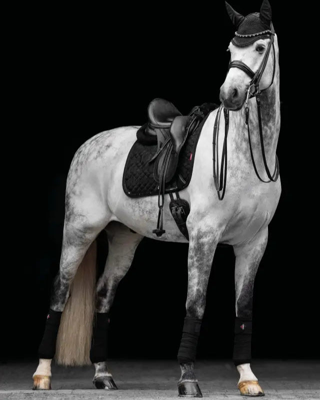 LeMieux Crystal Suede Dressage Square Black