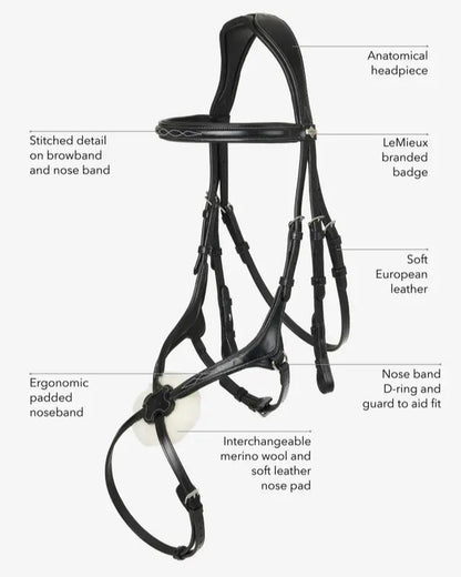 LeMieux Kudos Grackle Bridle Black: Anatomical horse bridle with padded noseband, browband, and soft European leather details.